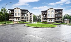 Condo, Élie 1