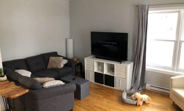 Salon 1